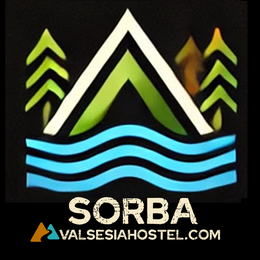 STANZA SORBA POSTO LETTO IN OSTELLO